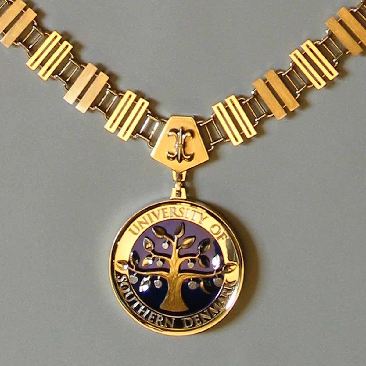 medalje Odense Universitet bispespænde