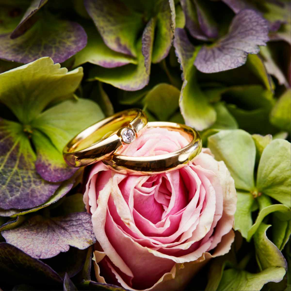 vielsesringe-i-roedguld-med-og-uden-brilliant